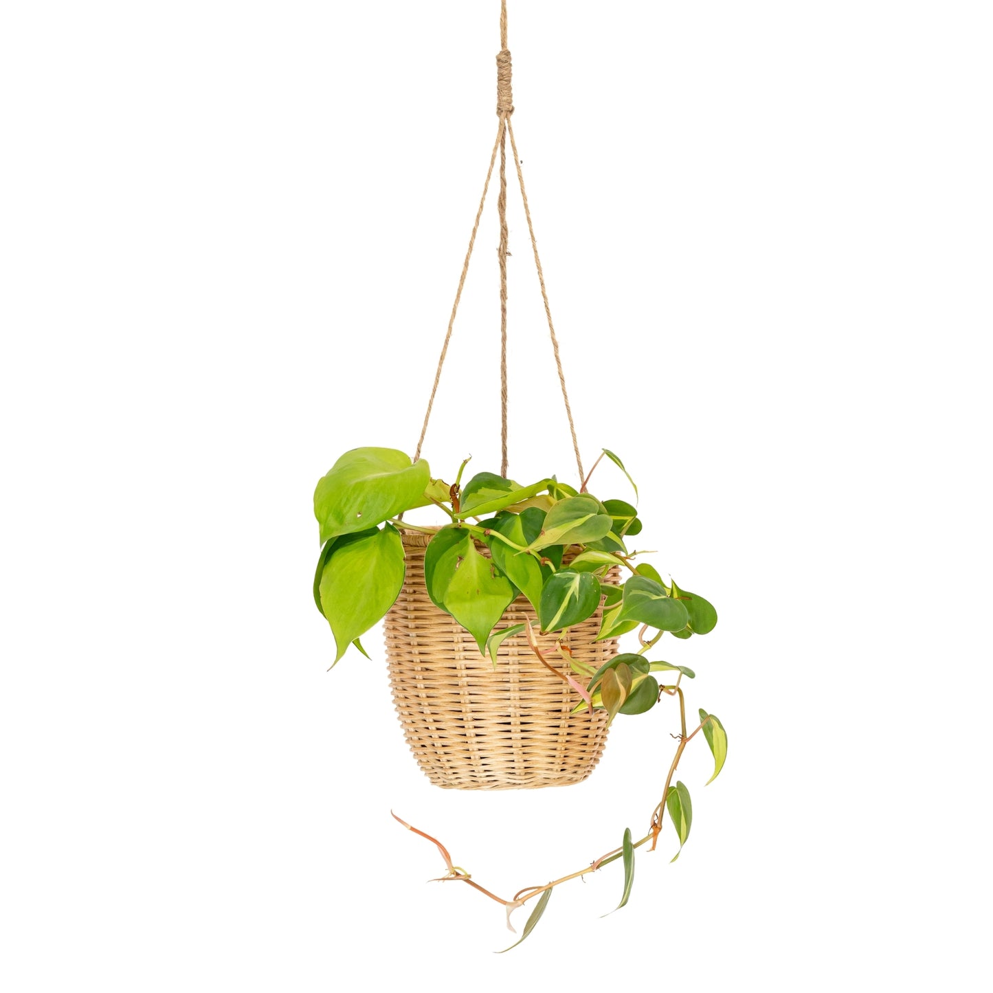 Kayla Rattan Planter