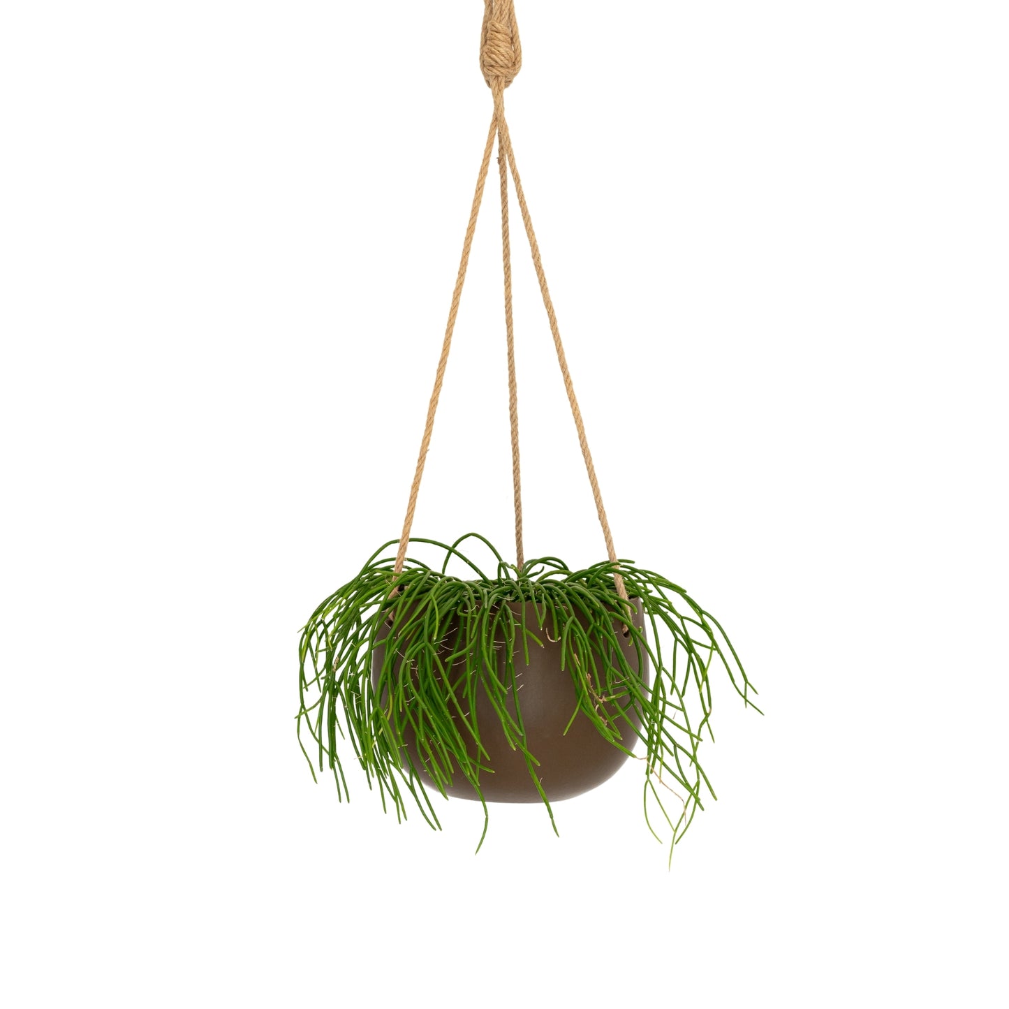 Lolly Ceramic Hanging Planter - Chocolate