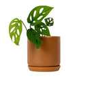 Oslo Cinnamon Small Decorative Planter