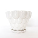 Jelly Planter - White