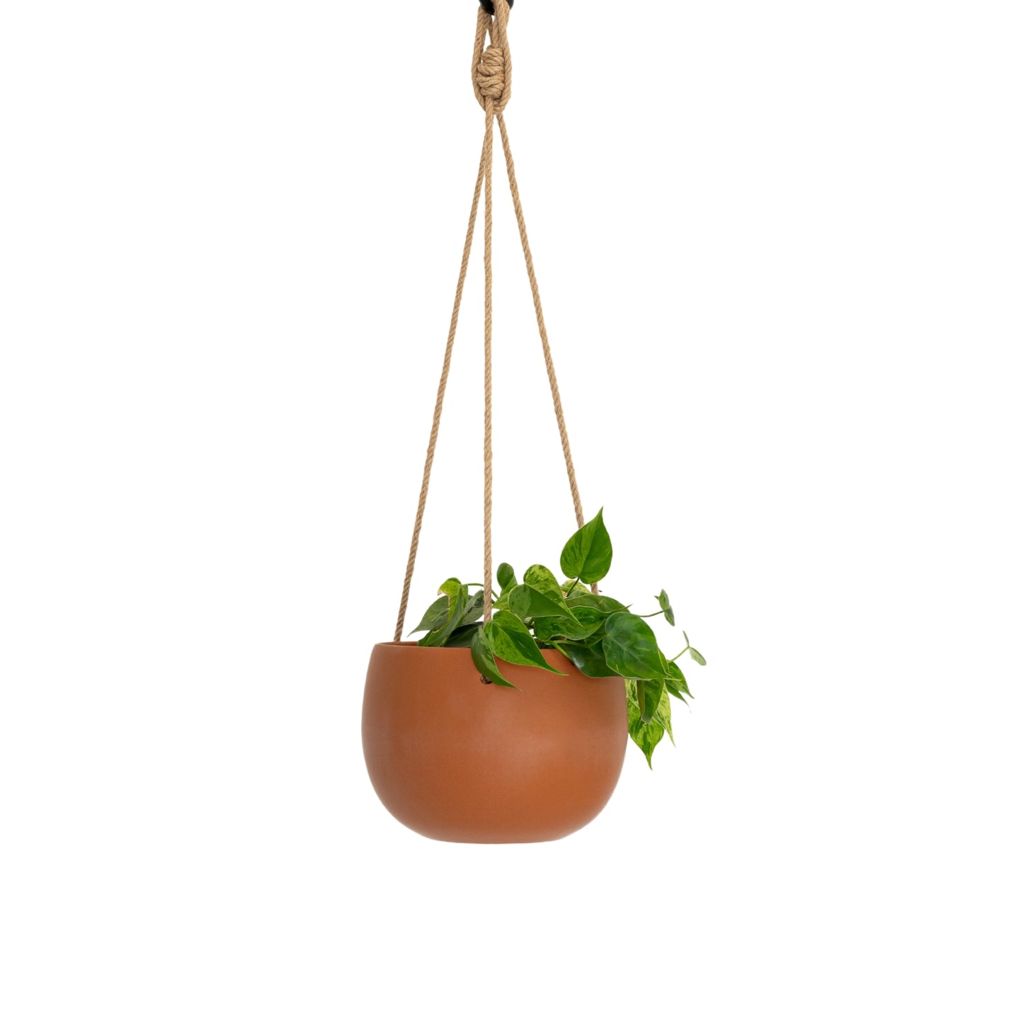 Lolly Ceramic Hanging Planter - Toffee