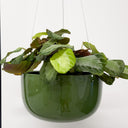 Glazed Earth - Large Hanging Bowl Forest Green