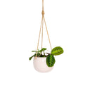 Lolly Ceramic Hanging Planter - Nude