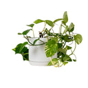 Oslo Ice White Large Decorative Planter