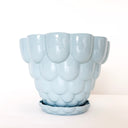 Jelly Planter - Blue