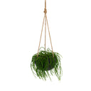 Orbi Hanging Planter Liquorice Large 16cm