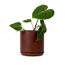 Oslo Brick Small Decorative Planter