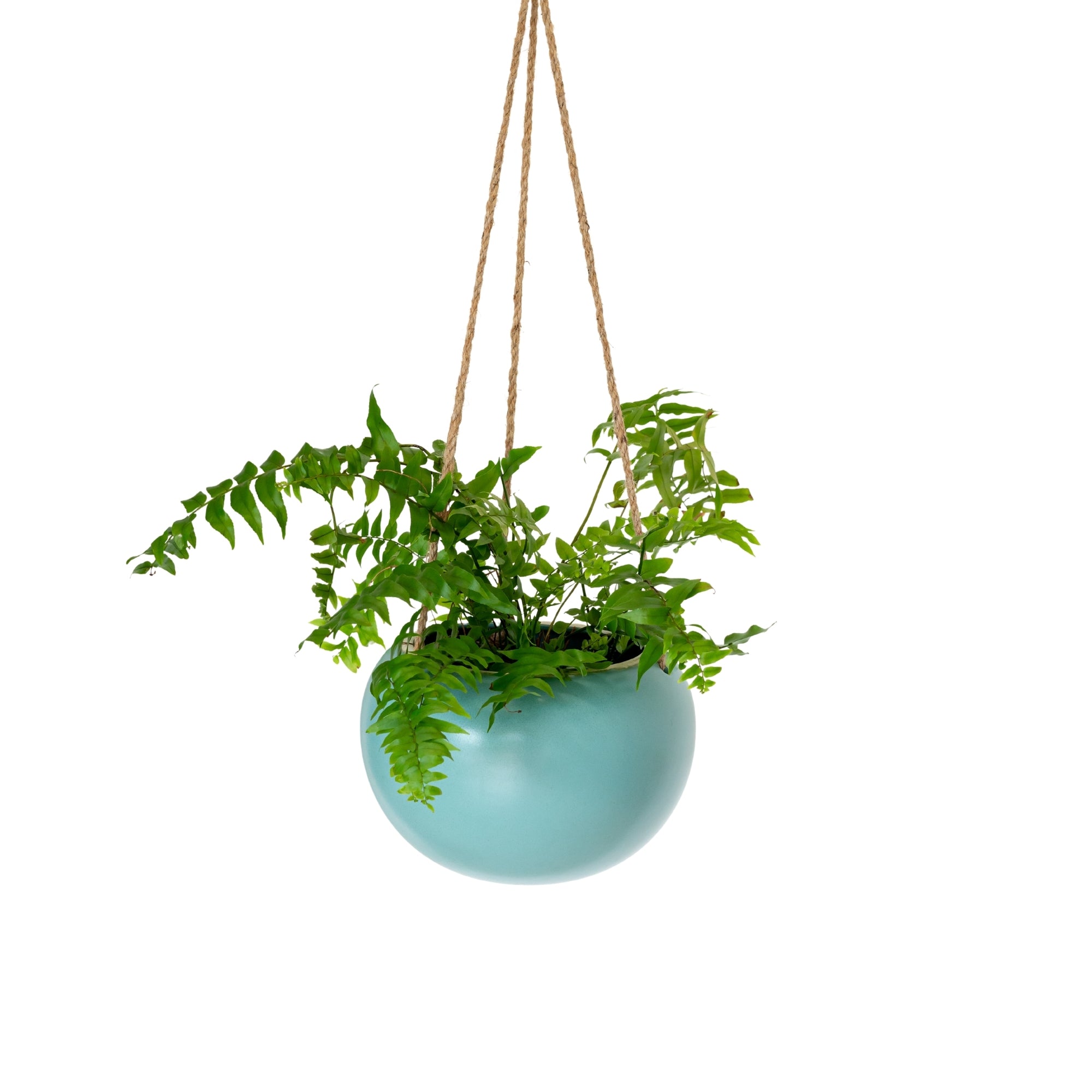 cb2 raj gold hanging planter Orbi Hanging Planter Blue Crush Large 16cm – Urban Greenhouse