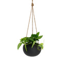 Orbi Hanging Planter Liquorice Small 14cm