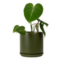 Oslo Small Avocado Decorative Planter