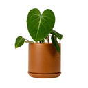Oslo Cinnamon Medium Decorative Planter