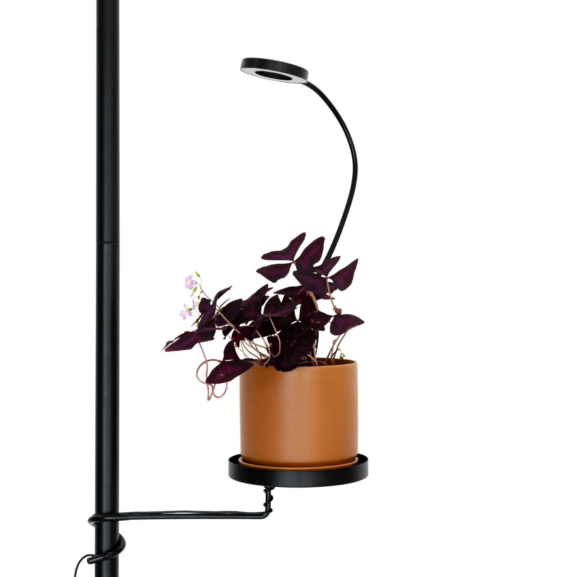 indoor house plant uplighters Indoor Grow Light With Clip