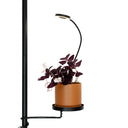 Indoor Grow Light With Clip - Black