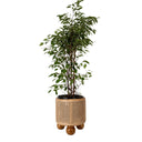 Olive Open Weave Ball Feet Planter