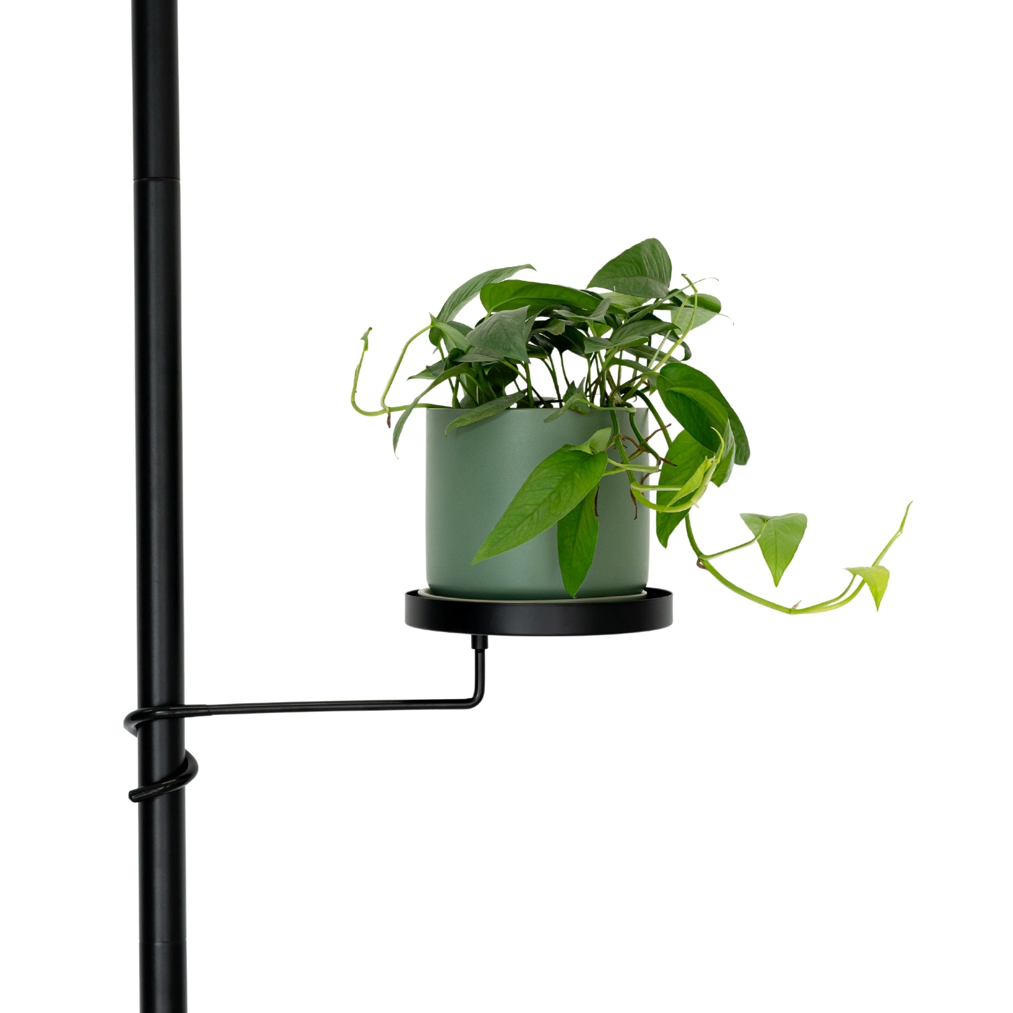 metal wood look indoor plant poles with tension rod Tension Plant Pole With Trays