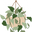 Urban Greenhouse logo