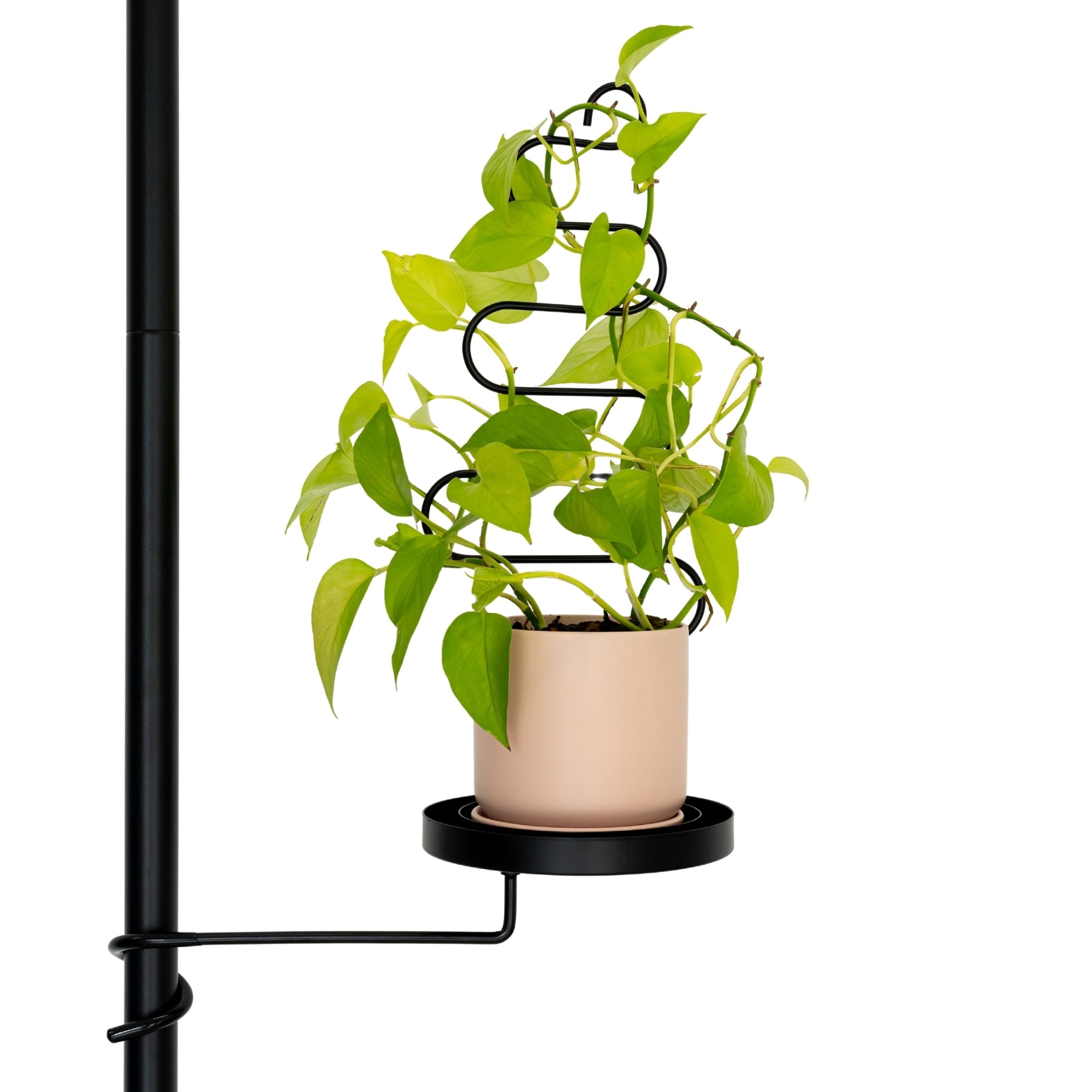 kmart hanging plant stand Black Swirl Plant Trellis with Base – Urban Greenhouse