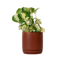 Oslo Brick Medium Decorative Planter