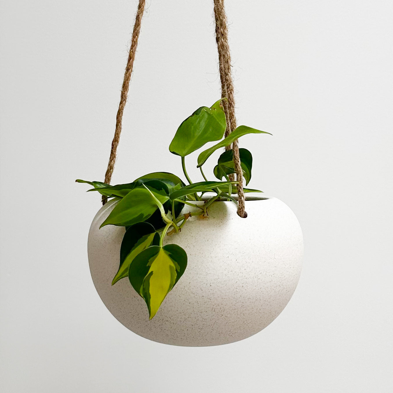 Orbi Hanging Planter Vanilla Small 14cm