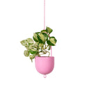 Metal Hanging Planter - Pink