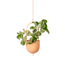 Metal Hanging Planter - Orange Fizz