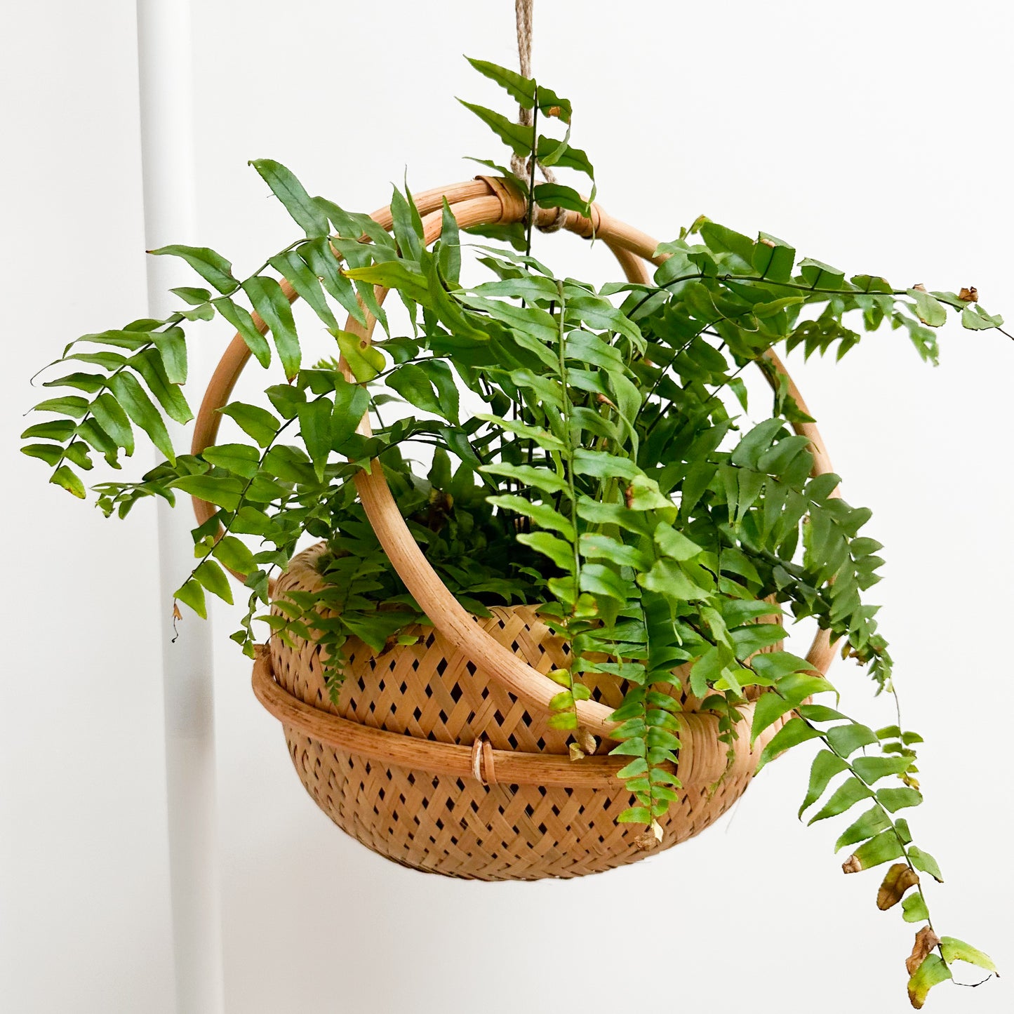 Elke Rattan Planter