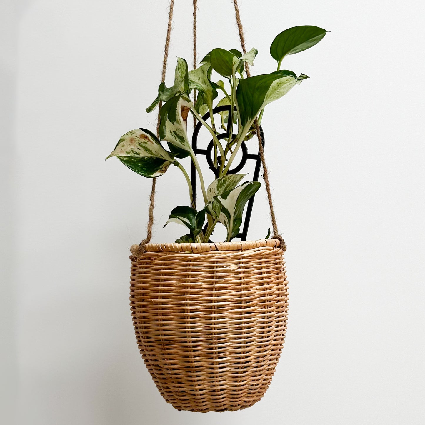 Kayla Rattan Planter