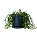 Oslo Navy Large Decorative Planter