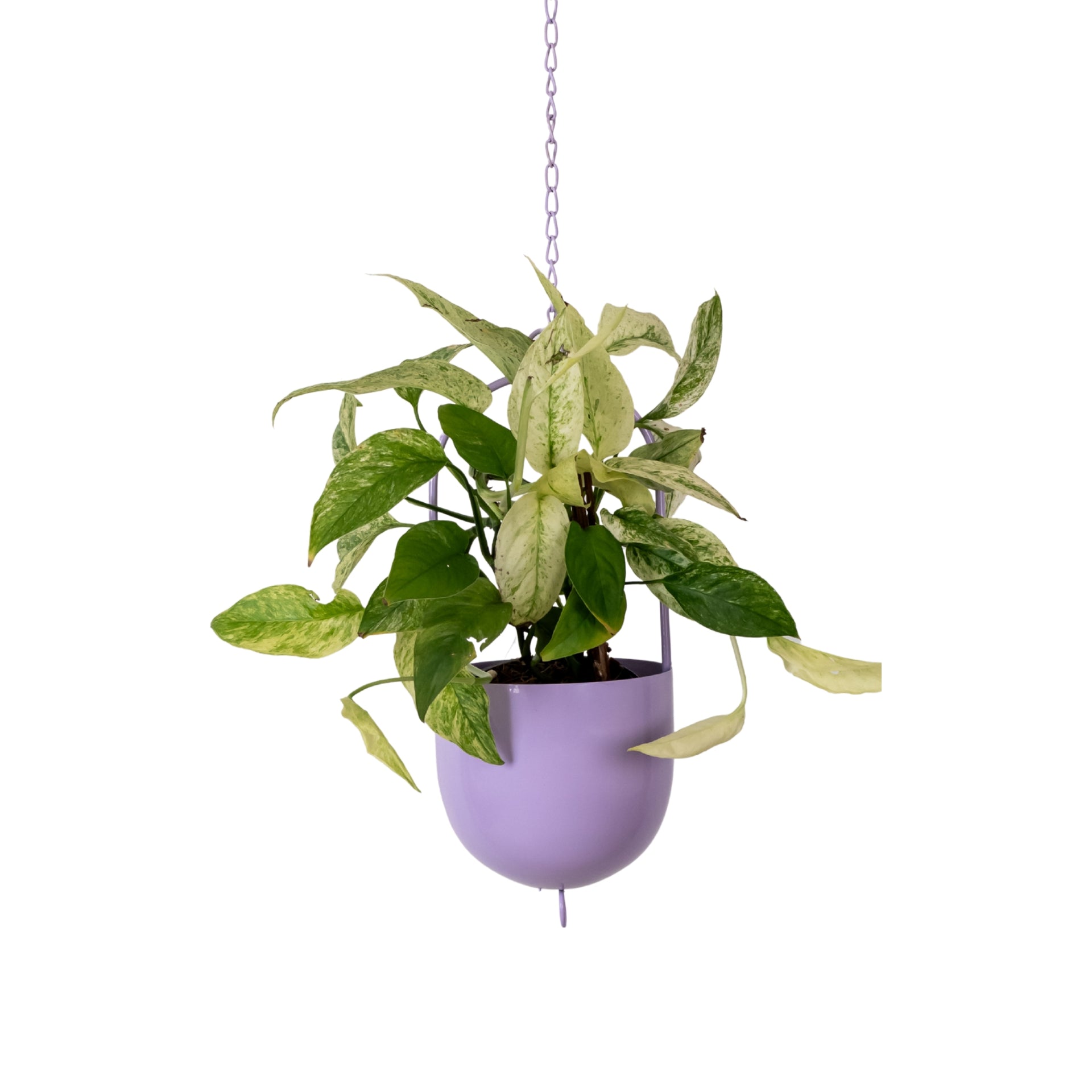 Metal Hanging Planter
