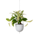 Metal Hanging Planter - White