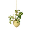Metal Hanging Planter - Yellow