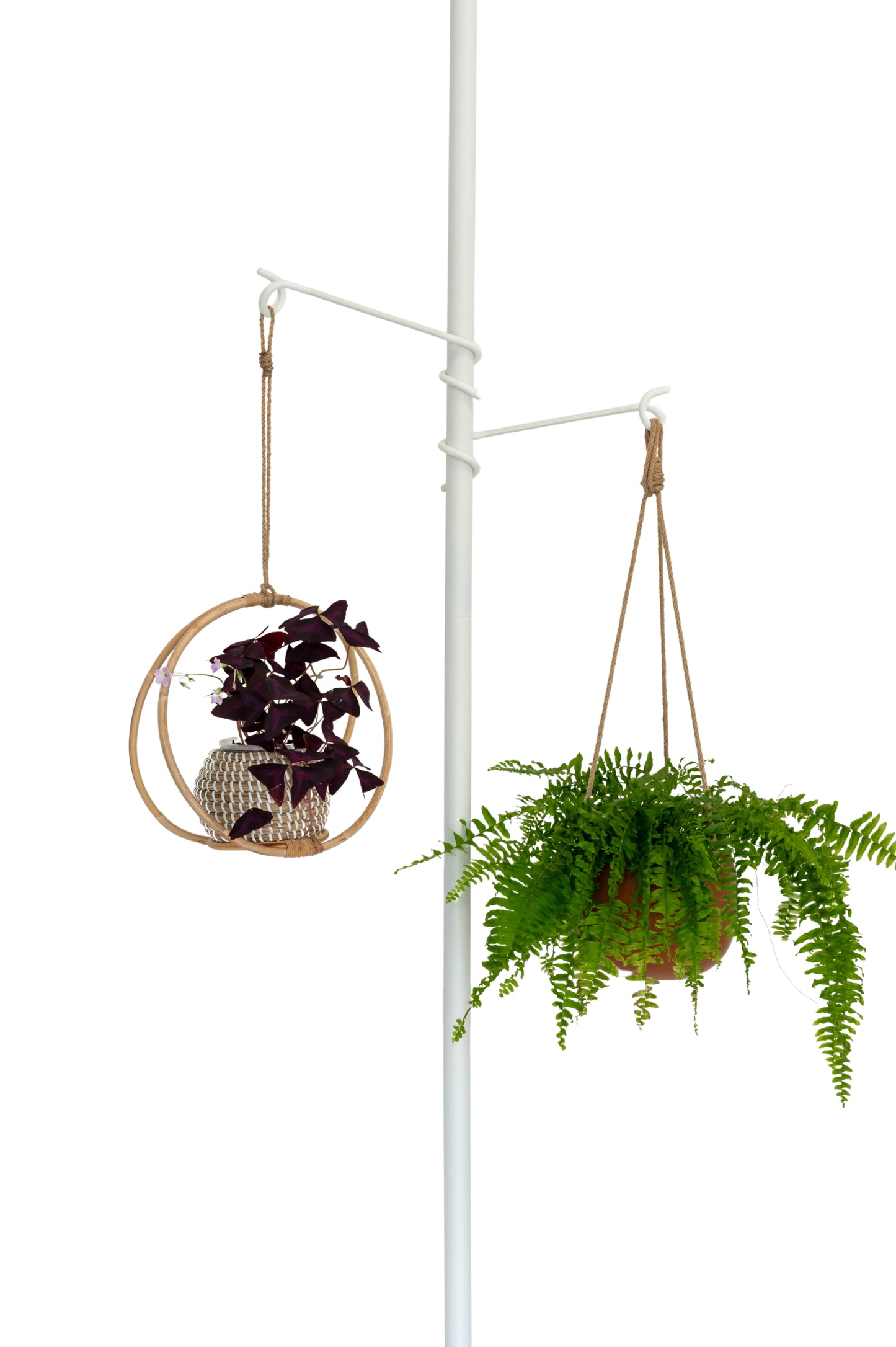 Tension Plant Hanging Pole - White