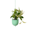 Metal Hanging Planter - Green