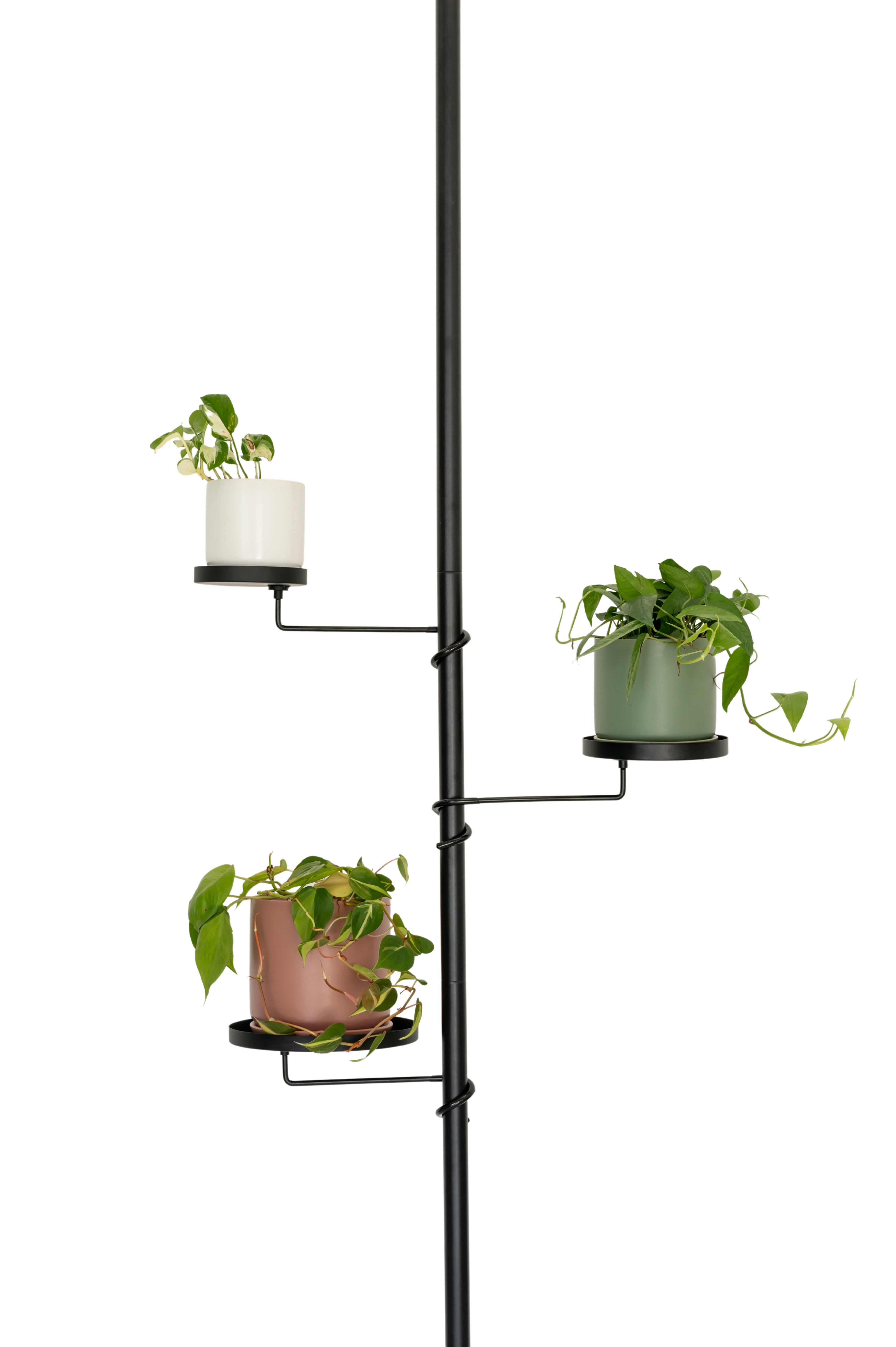 Tension Plant Pole With Trays