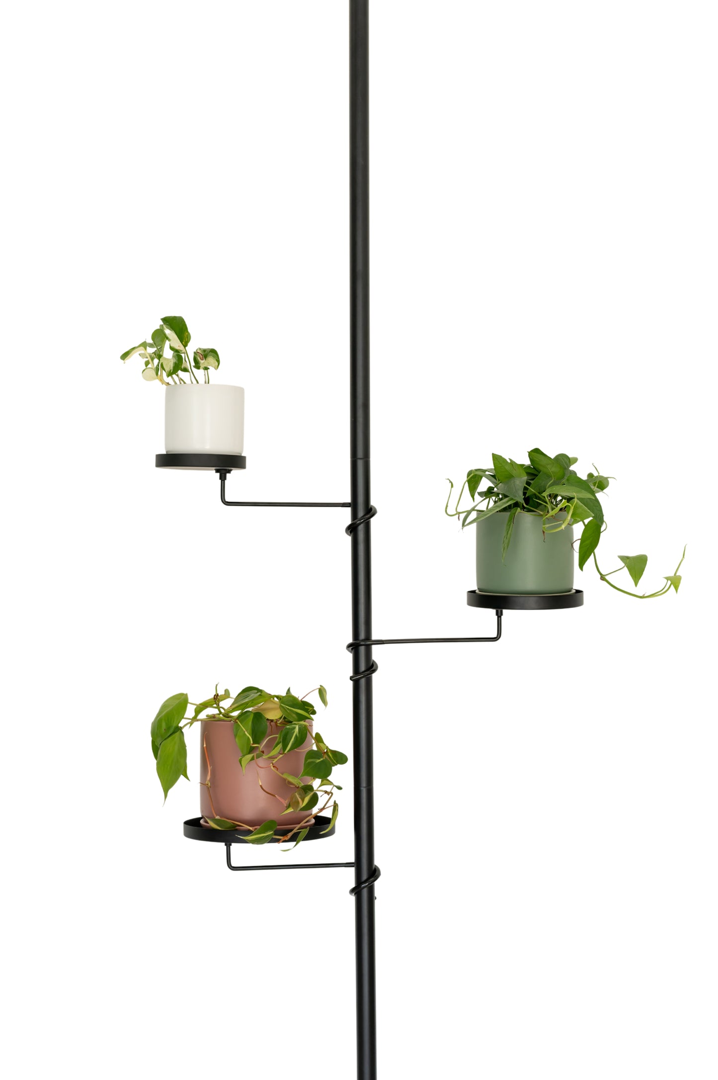 Tension Plant Pole With Trays - Black