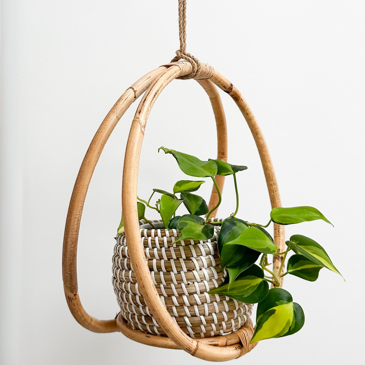 Olivia Rattan Planter