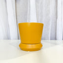 Hamburg Tobacco Decorative Planter