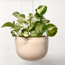 Glazed Earth - Medium Hanging Planter Pink Rock Salt
