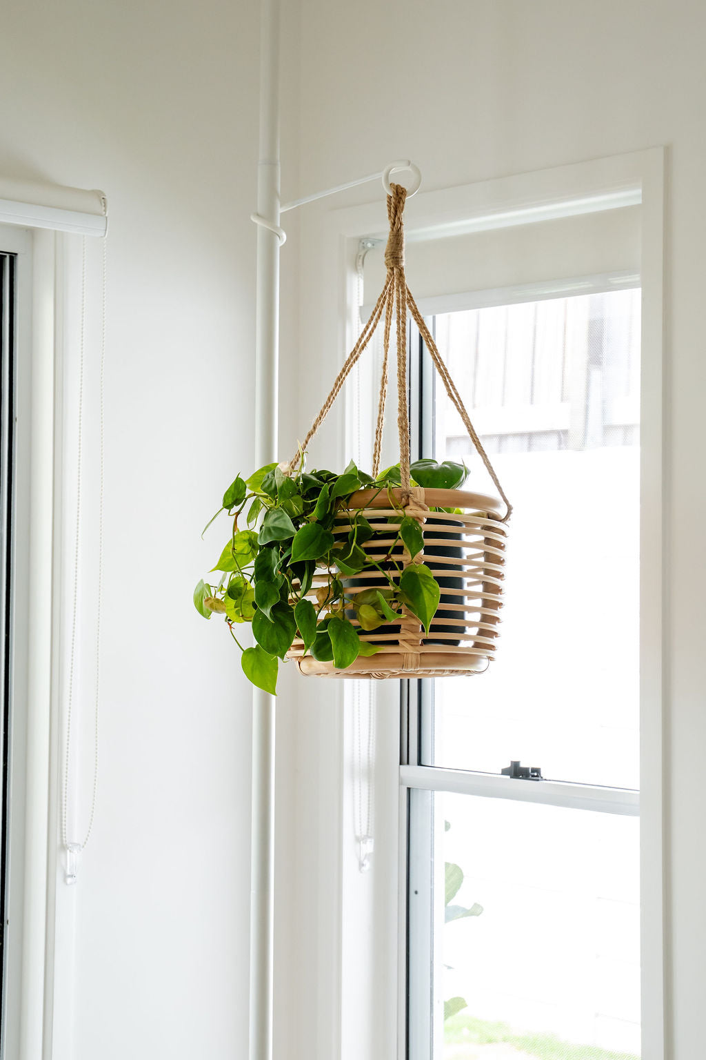 joann hanging planter Joan Rattan Planter – Urban Greenhouse