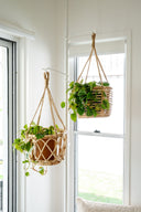 Coral Hanging Rattan Planter