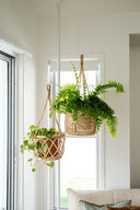 Coral Hanging Rattan Planter
