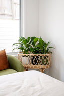 Merle Oval Tall Planter Stand