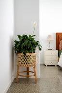 Gladys Rattan Planter Stand