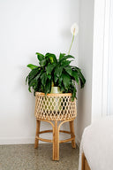 Gladys Rattan Planter Stand