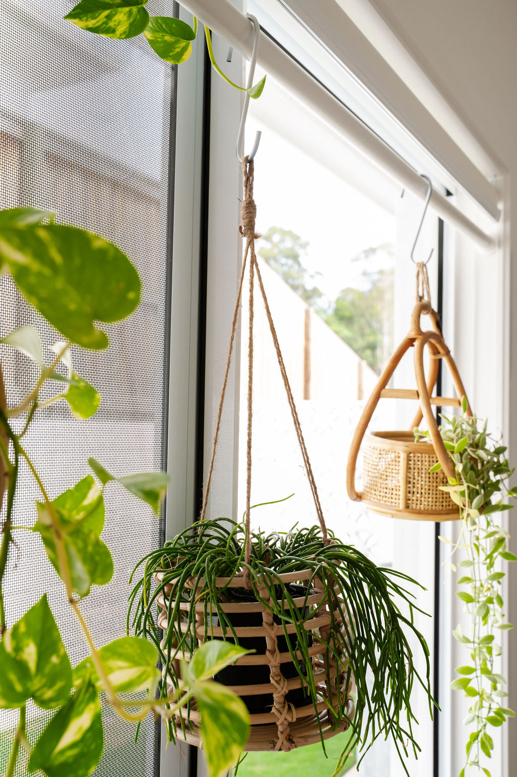 hanging plant bathroom window Window Hanging Pole