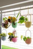 Metal Hanging Planter - Orange Fizz