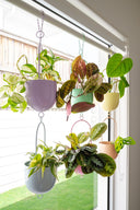 Metal Hanging Planter - Orange Fizz