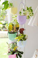 Metal Hanging Planter - Orange Fizz