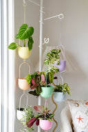 Metal Hanging Planter - Orange Fizz