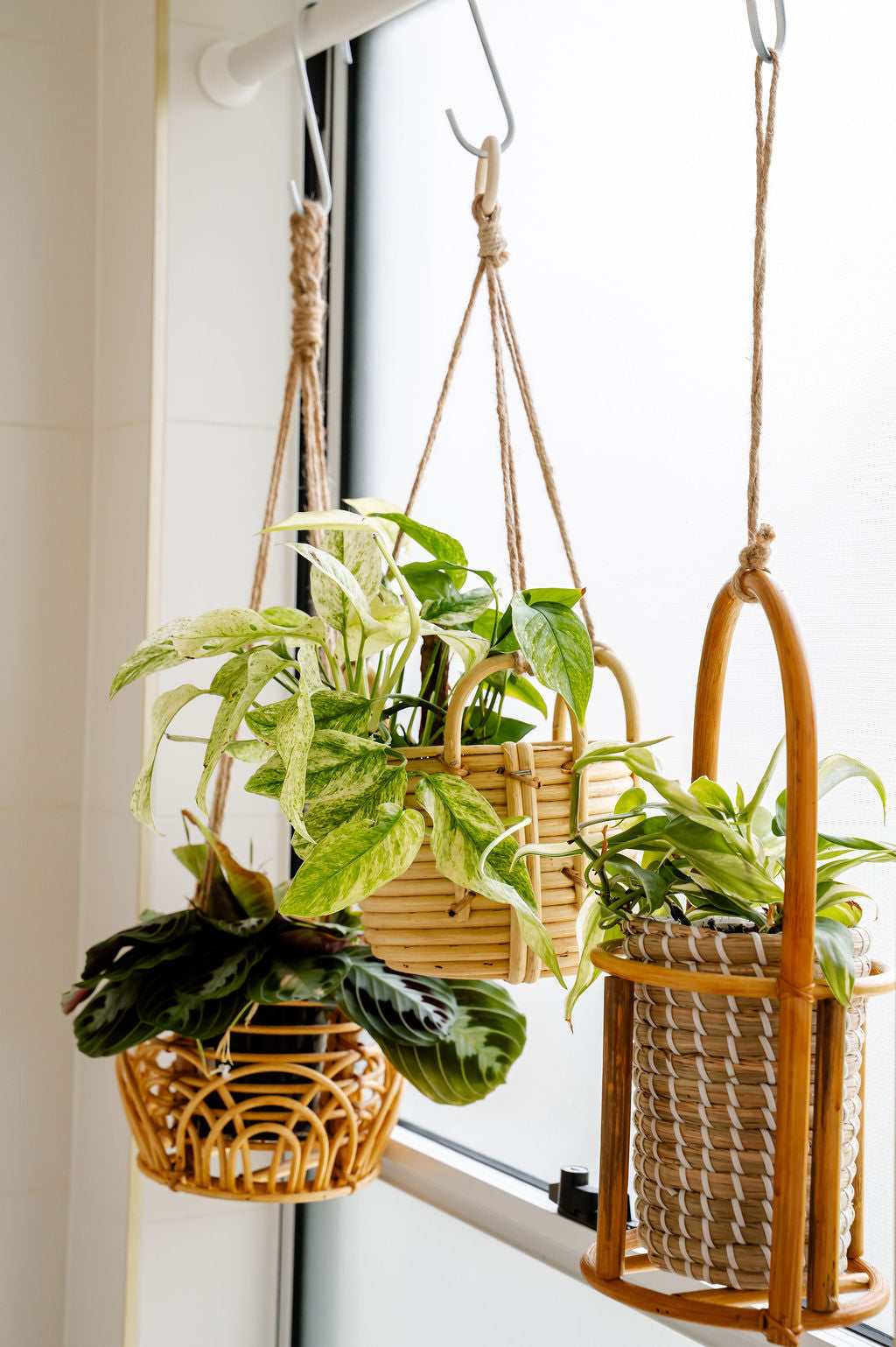 rental friendly plant hanging Window Hanging Pole